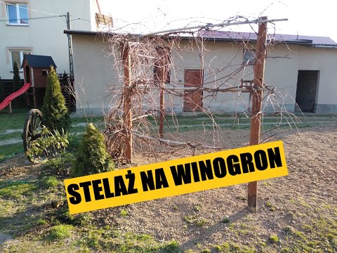 Wideo: Altana Na Winogrona (35 Zdjęć): Zrób To Sam Konstrukcja Z Winogrona