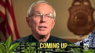 Marijuana in America׃ Colorado Pot Rush   CNBC documentary HD