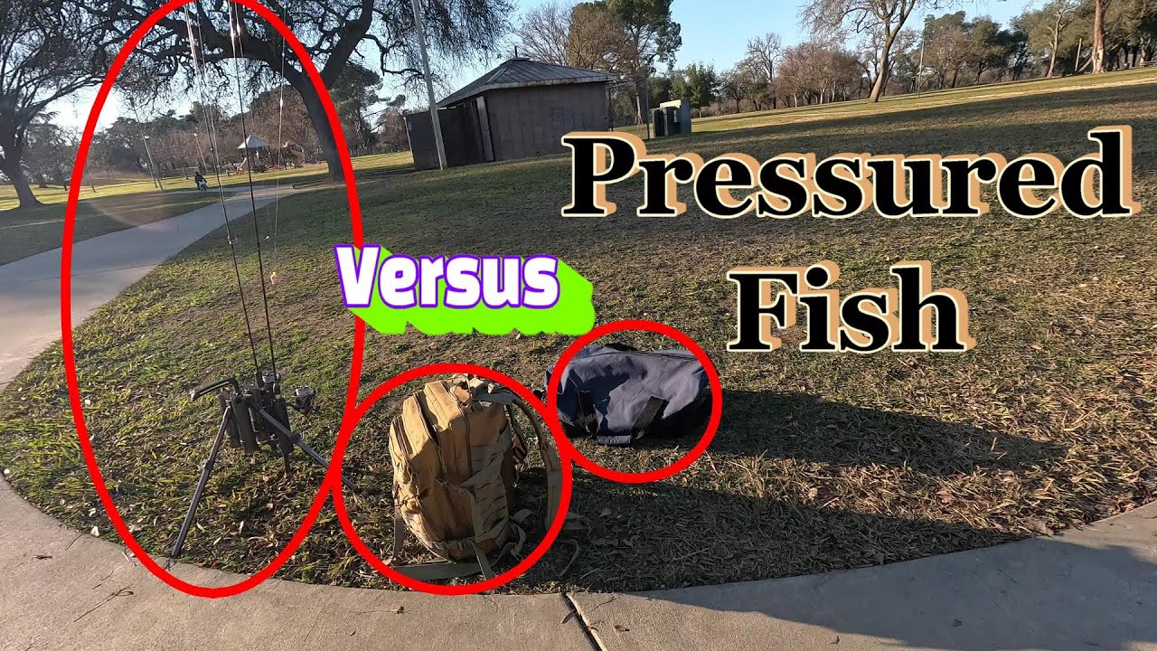 Fishing An Almost Fished-Out City Pond