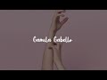 Shawn Mendes ft Camila Cabello - I Know What You Did (sub español )