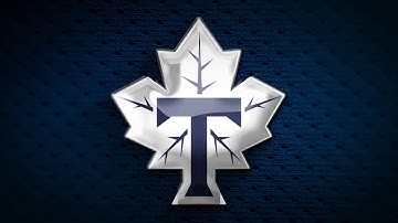 Toronto Maple Leafs Rebrand Designs | Graphic Design | Sports | Hockey