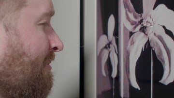 John Waters, Cohen Film Collection Preview