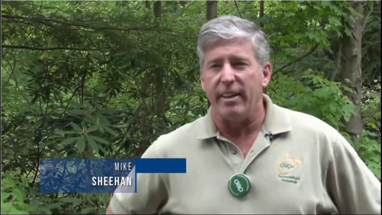 Acid Mine Drainage Assessment and Remediation Cheat River, West