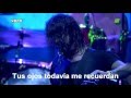Foo Fighters - Hey Johnny Park (Subtitulado)