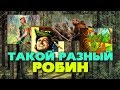 Был ли РОБИН ГУД на самом деле? Исторические прототипы и эволюция героя