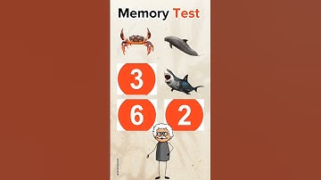 Are you able to answer all of them?#quiz #quiztime #riddles #trivia #brainteaser #youtubeshorts