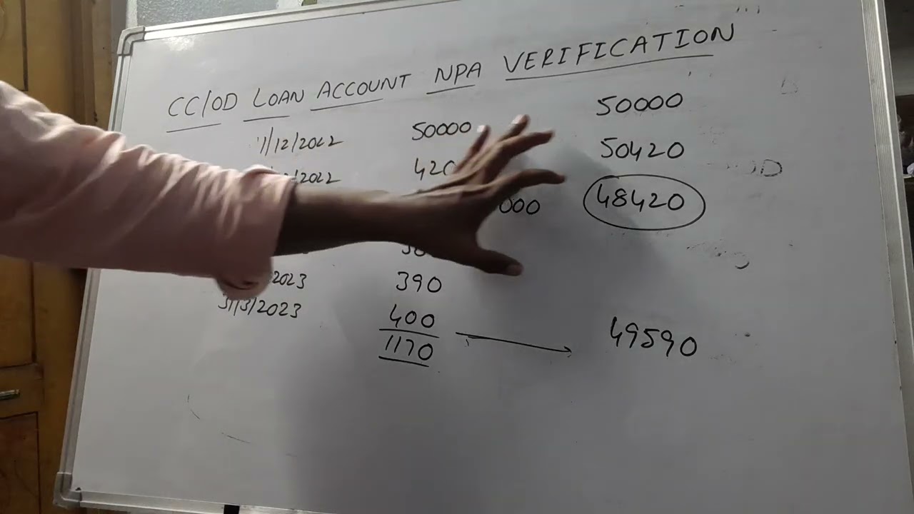 Cash Credit/Over draft (CC/OD) loan account NPA Verification by Jani