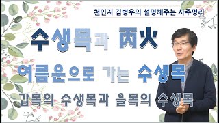 수생목과 병화/여름운으로 가는 수생목/갑을목의 수생목