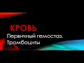 Физиология. Глава 4. Кровь. Первичный гемостаз. Тромбоциты