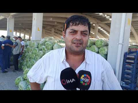Fasulye üreticisinin yüzü