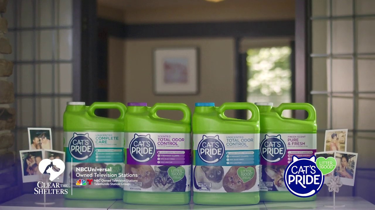 cat litter sand Cat's Pride® Helping More Cats Find Forever Homes (:15)