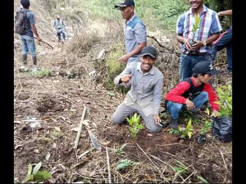 [SiruloTV] LESTARIKAN HUTAN DENGAN POHON-POHON PRODUKTIF