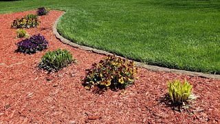 Quickly Trim Your Shrubs and Perennial Plants for Spring