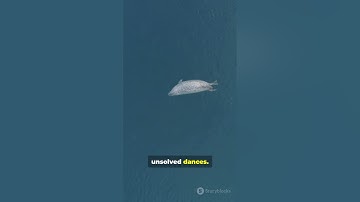 5 Space Mysteries Science Still Can