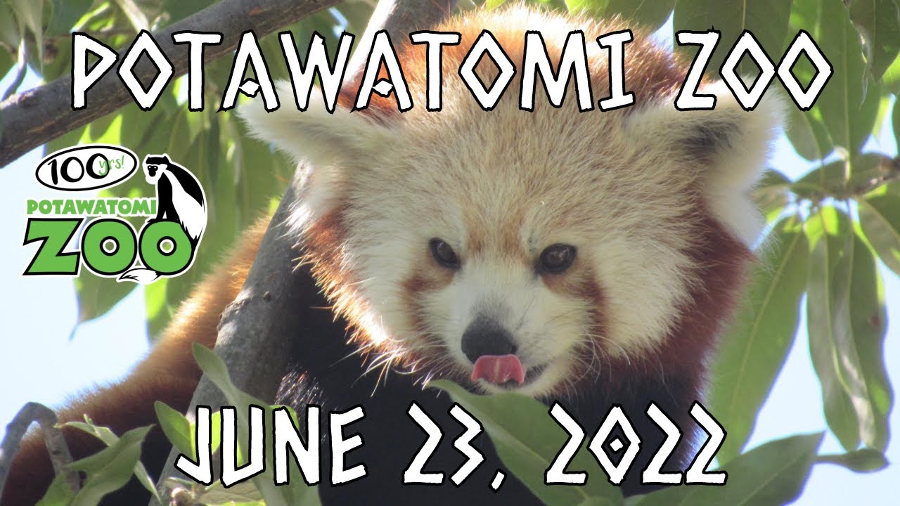 Potawatomi Zoo June 23, 2022 YouTube