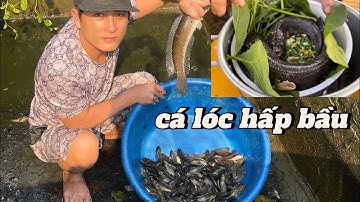 thay nước bể lâu năm và làm món cá lóc hấp bầu #food #canhque #amthuc #mientay
