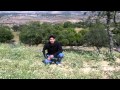 نام يا جرجاوي نام نام يا جرجاوي نام