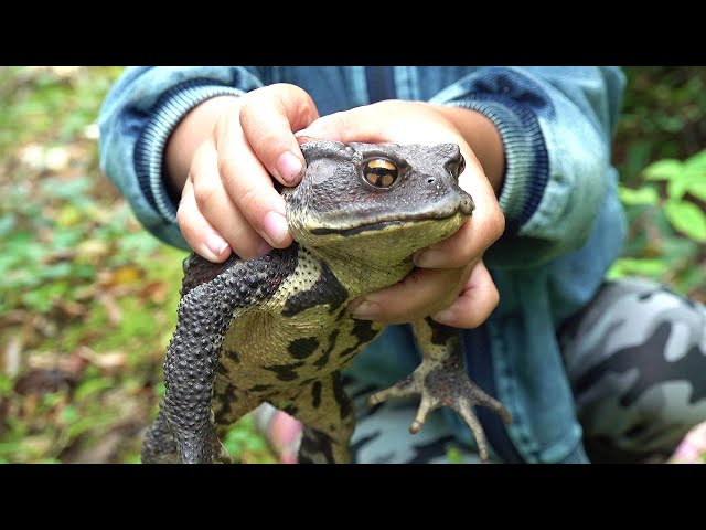 私は山の恵みを大切にして生きたい