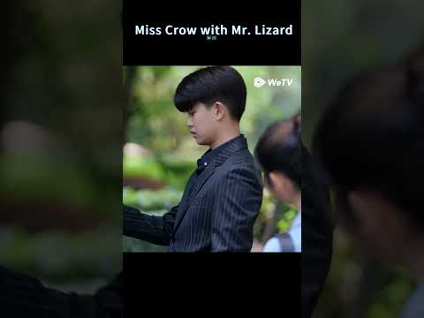 Arrogant CEO!#misscrowwithmrlizard #shorts #xingfei #renjialun #乌鸦小姐与蜥蜴先生 #任嘉伦 #邢菲