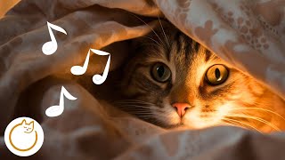 Cozy Cat Music - Unbelievable Results from Our Expert Made Music [2023] 🐱