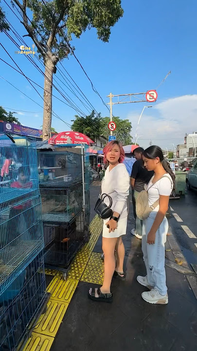 JATINEGARA ANIMAL MARKET PART 1 #holidaywithshorts #hangingoutwithshorts