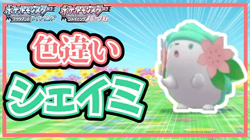 ポケモンdpで色違いシェイミを捕まえる方法を解説 ダイパ バグ メロボ乱数 裏技 Mp3 ポケモンdpで色違いシェイミを捕まえる方法を解説 ダイパ バグ メロボ乱数 裏技 Mp3