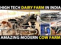 High tech dairy farm in india  fully automated modern cow farm  amazing cattle farming technology