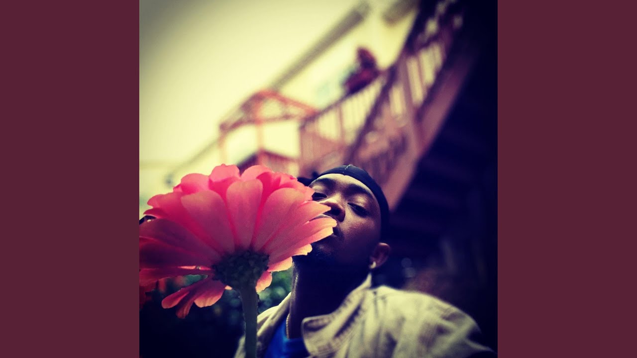 Watch Blow on YouTube Watch Blow on YouTube