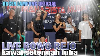 🟢 NEW MAHARISTA LIVE ROWO REJO |  KAWAI SETENGAH JUBA