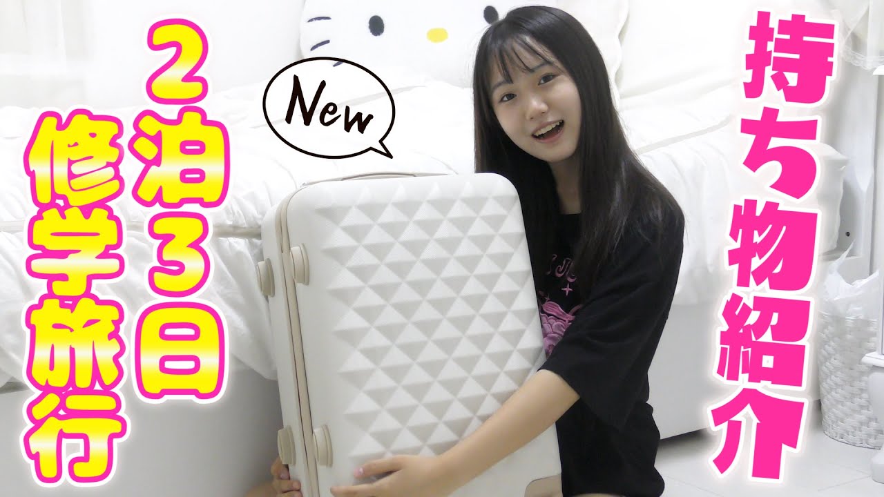 キャリー ケース 二 泊 三 日