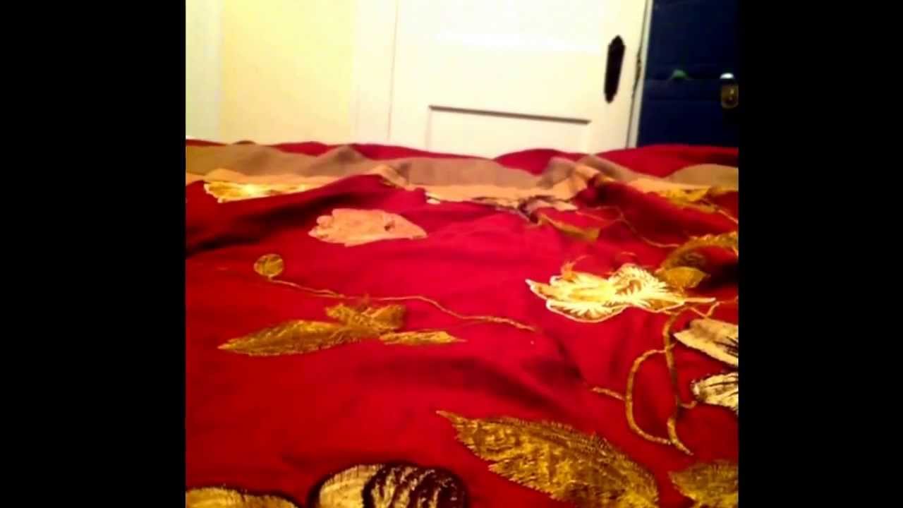 groundhog-youtube