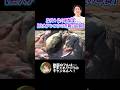 歴代１位の衝撃度【巨大アンコウのお腹の中身】