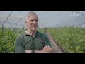 Fruit Farming on Brink of Collapse as Brexit Causes Shortage of Pickers
