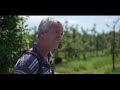 Fruit Farming on Brink of Collapse as Brexit Causes Shortage of Pickers