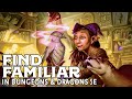 Find Familiar in Dungeons and Dragons 5e