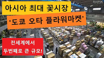 아시아 최대 꽃시장 도쿄 오타 플라워 마켓 방문기 일본 여행 VLOG