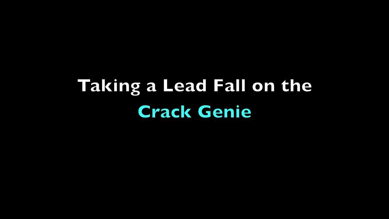 Crack geneious manual