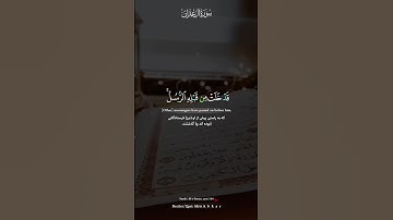 و محمد (ص) جز فرستاده ای نیست - سورة آل عمران آیه ۱۴۴ - شیخ إدريس أبكر حفظه الله
