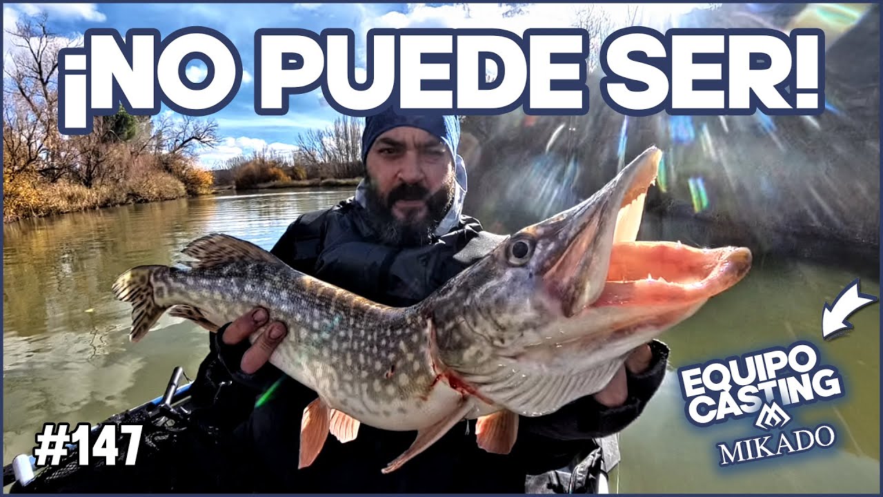 ⚠️ INCREÍBLE: Doblete de lucio y lucioperca A LA VEZ | Nunca vi algo así