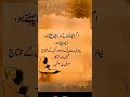 Allah hu akbar ||The IslamicNetwork || Pirzadafawadjan #short#viral#video#islam#shortvideo #trending
