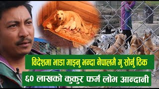 विदेशमा भाडा माझ्नु भन्दा नेपालमै गु सोर्नु ठिक  dog farming in nepal