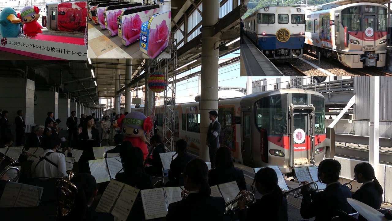 ﾊﾞﾗのﾗｯﾋﾟﾝｸﾞ】#jr西日本 #227系 0番台#ラッピング車両 のお披露目の