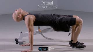 Primal Movement Basics