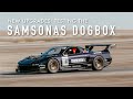 Samsonas Dogbox Testing - Buttonwillow 13cw - RS Future Vlog #17