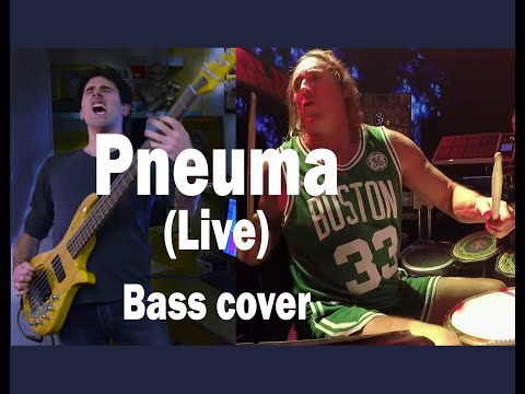 tool---pneuma(live)---bass-cover