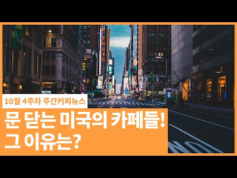 / 10월 4주 주간커피뉴스, <strong>커피TV</strong>