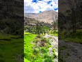 Ecuador 🇪🇨