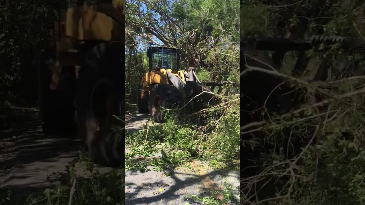 Heavy Debris Removal Equipment is Rolling