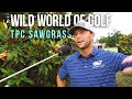 Wild World of Golf: Luke Guthrie and Ben Kohles (TPC Sawgrass, Dye's Valley)