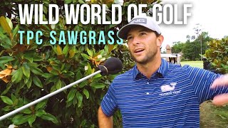 Wild World of Golf: Luke Guthrie and Ben Kohles (TPC Sawgrass, Dye's Valley)
